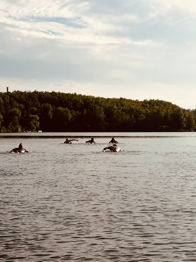 Gruppe schwimmt und paddelt gemeinsam Richtung Ufer